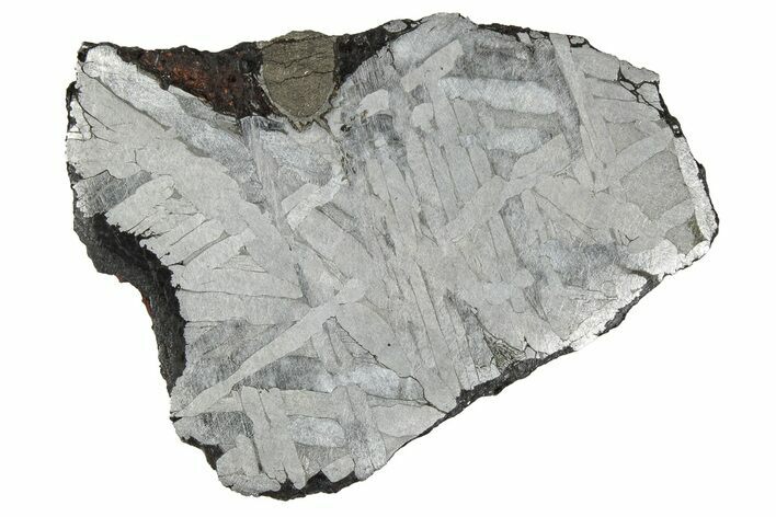 Etched Toluca Iron Meteorite ( g) Slice - Mexico #333193